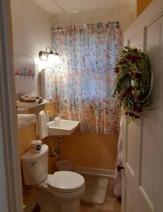 #05 - Lakefront Two Bedroom Cottage- Pet Friendly ホット・スプリングス エクステリア 写真
